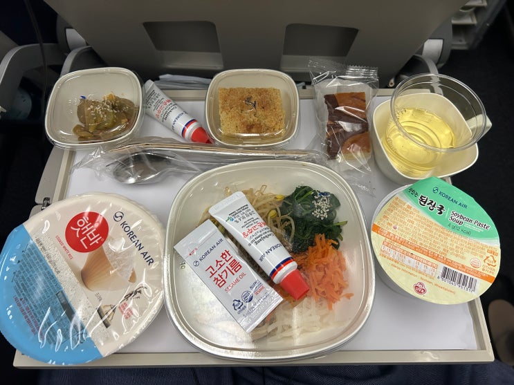  유럽 비엔나공항 대한항공 직항 후기⎮카운터 위치, 기내식, 간식