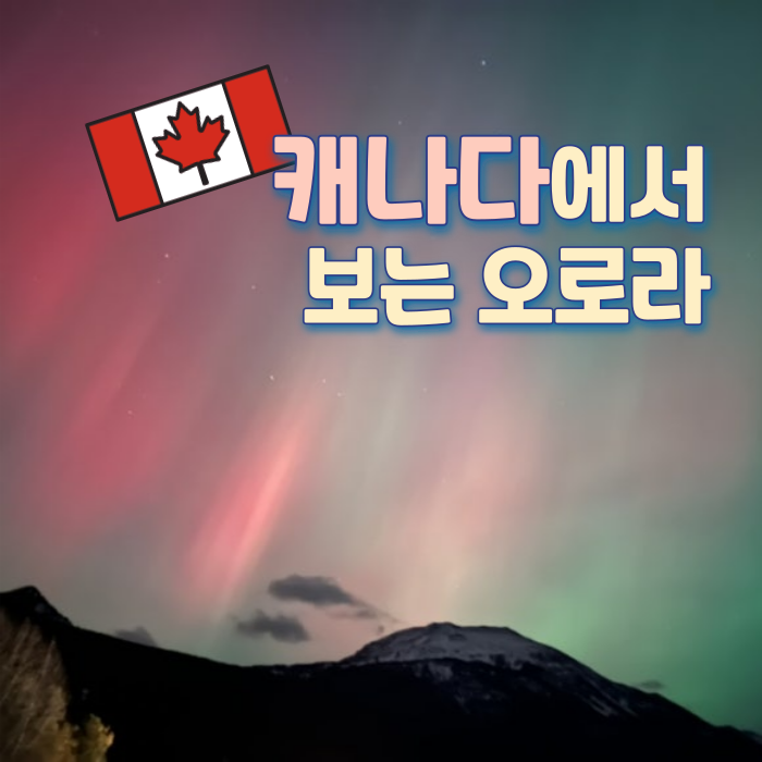   캐나다에서 보는 오로라 ️