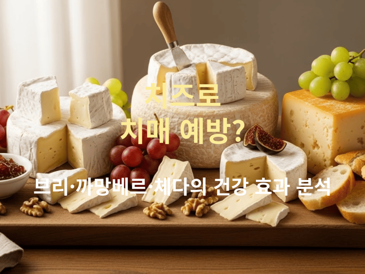  치즈로 치매 예방? : 브리·까망베르·체다의 건강 효과 분석