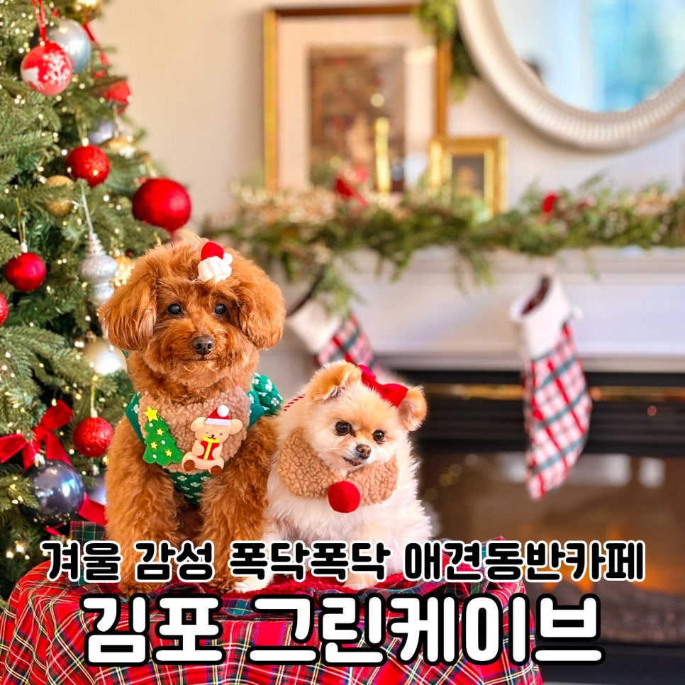 카페트리 사진 1