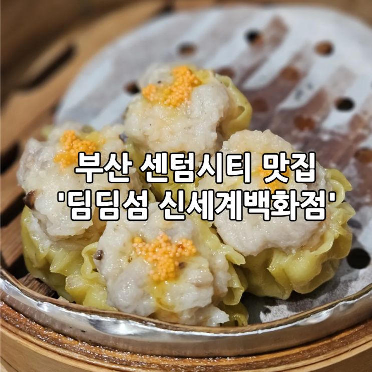  부산 센텀시티 맛집 추천｜딤딤섬 신세계백화점 센텀시티점 내돈내산 후기