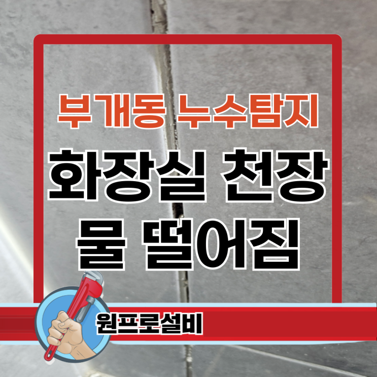  부개동 누수탐지 화장실 천장 물 떨어짐