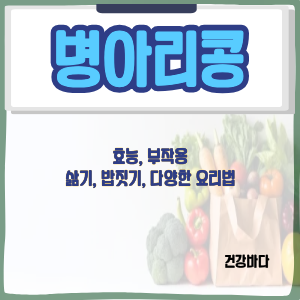 병아리콩 효능, 부작용, 삶기, 밥짓기, 다양한 요리법