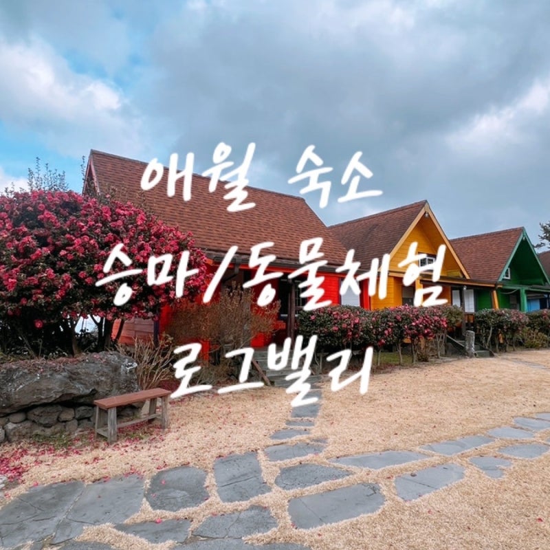 애월 말타기체험 먹이주기체험 가능한 아이랑 숙소 솔직후기