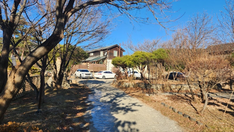 사진 3