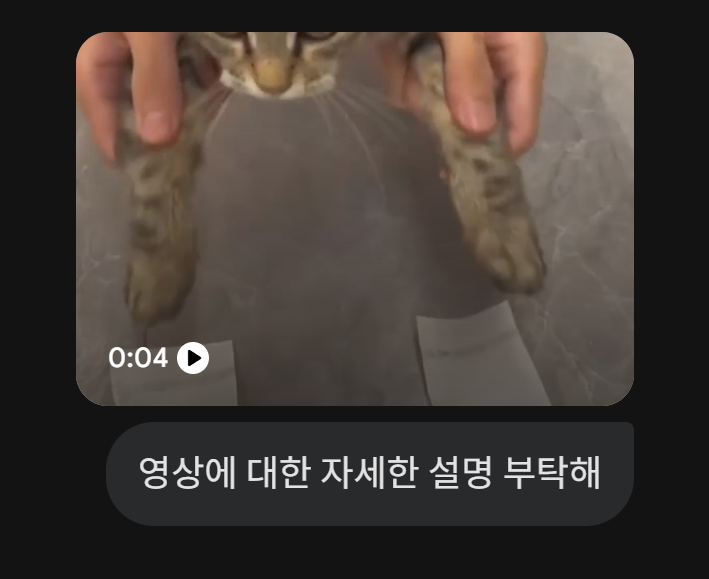 20260103 (토) - glimpse shorts 만들기