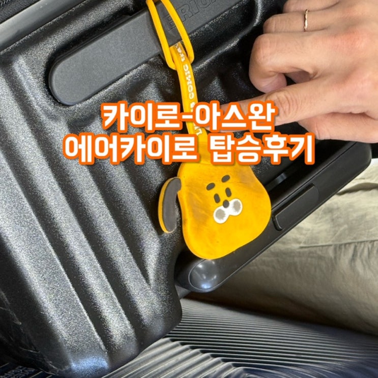  이집트 국내선 에어카이로 SM94 후기 | 4시간 지연을 '무료'로 앞당긴 썰 (아스완 공항 택시비 시세)