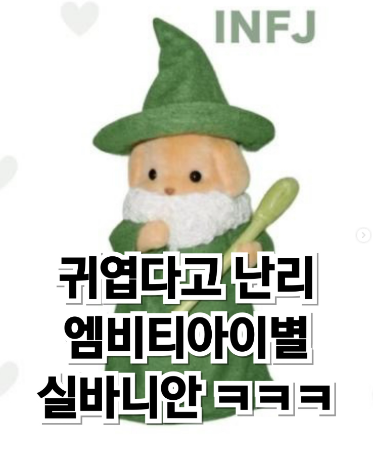  귀엽다고 난리난 MBTI 실바니안