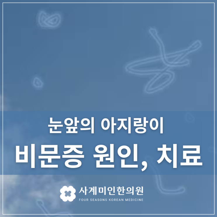  운중동한의원 | 눈앞의 아지랑이 비문증 원인, 치료
