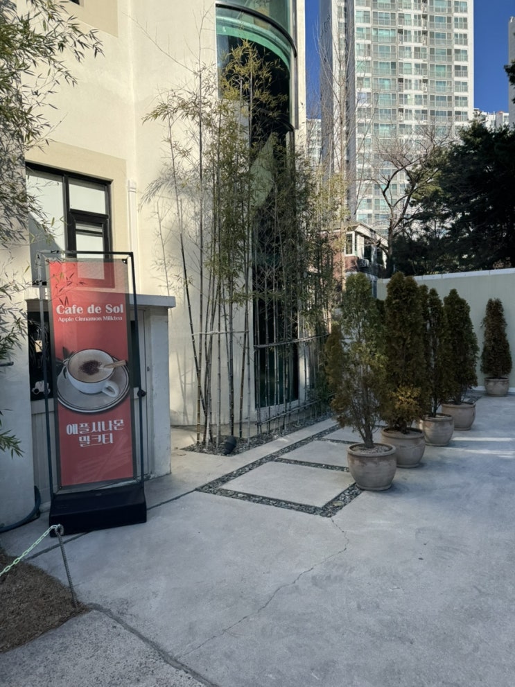  울산 북구 호계 카페, 신천동 통창으로 되어 있는 카페드솔