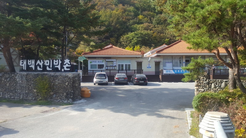 2026 태백산 민박촌 예약방법·요금표·숙박 꿀팁 총정리