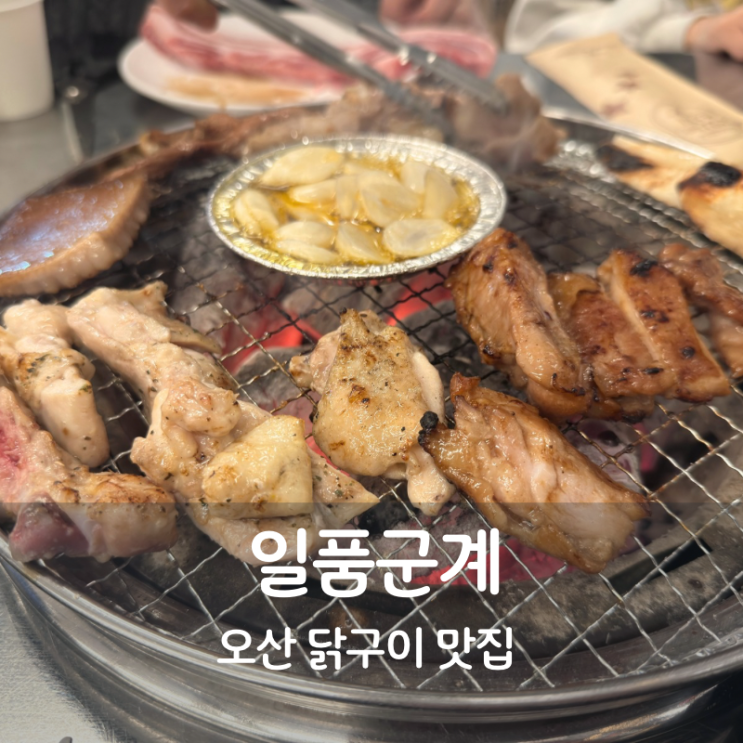  숯불닭갈비 맛집 오산 일품군계 닭연골 닭목살구이