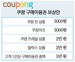  탈쿠팡 바람 이커머스 판을 흔들다.