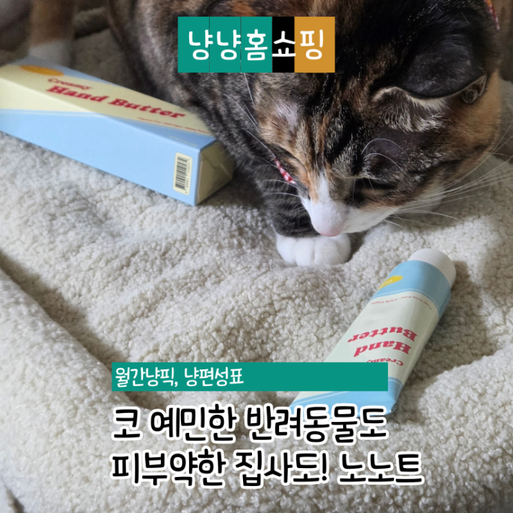  쓰담쓰담해도 안 부담스러운 비건핸드크림, 노노트 크리미 핸드버터 솔직 후기