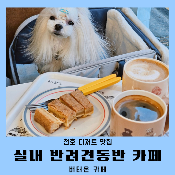  천호 애견동반 카페 버터온 천호동카페 실내 반려견동반 후기