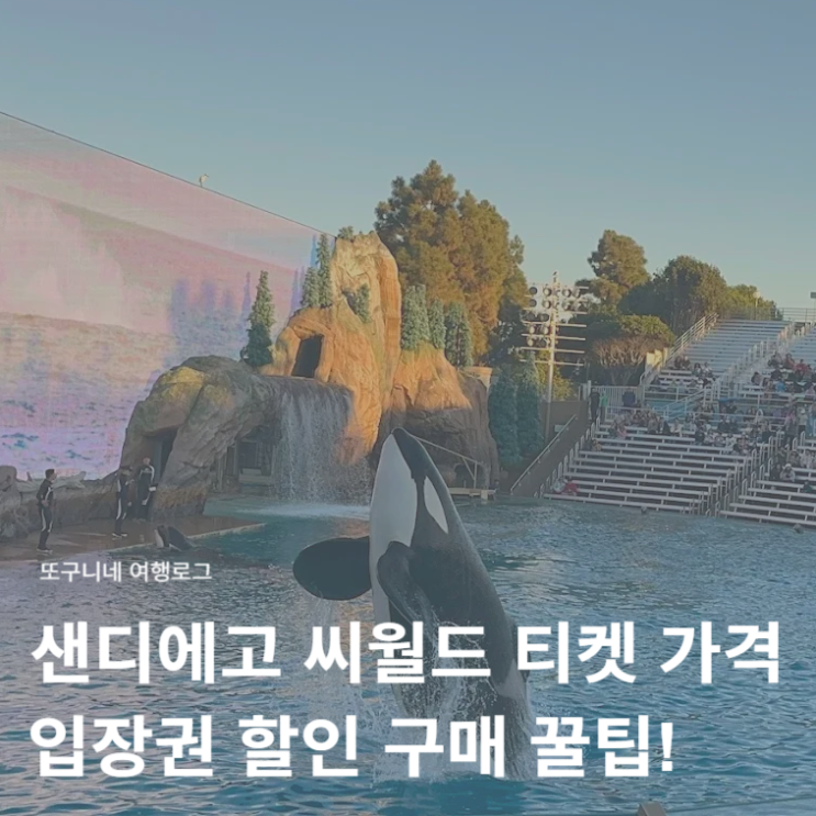  샌디에고 씨월드 티켓 가격 입장권 할인 구매 꿀팁!