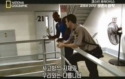  [탈조선] "쿠팡은 불매하지만 카카오는 못잃어!", 시민수준이 높다고 자화자찬하는 대한민국의 민낯
