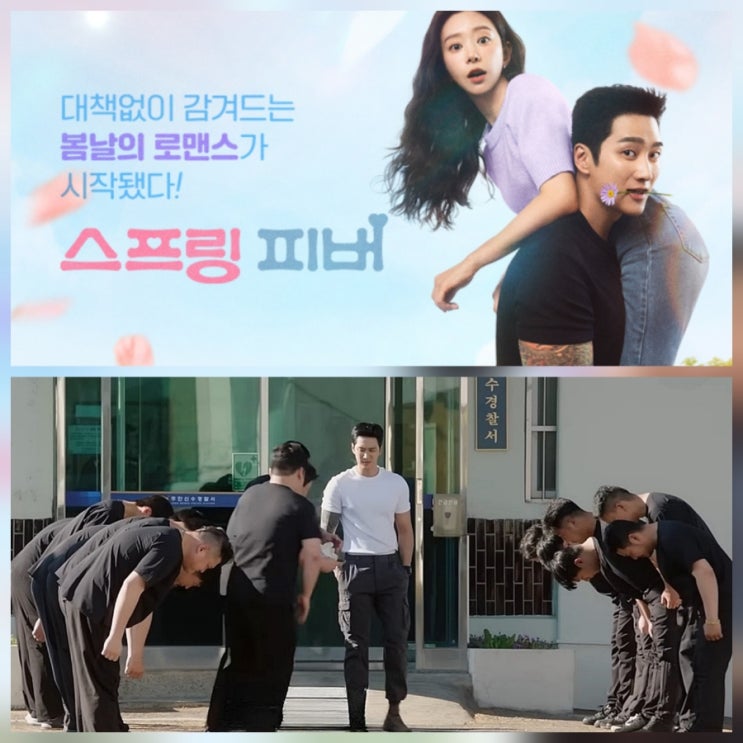 스프링 피버 원작 책 등 줄거리 요약 공개 총정리