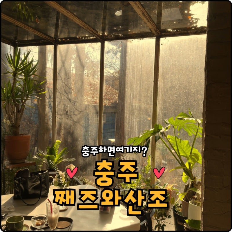사진 3