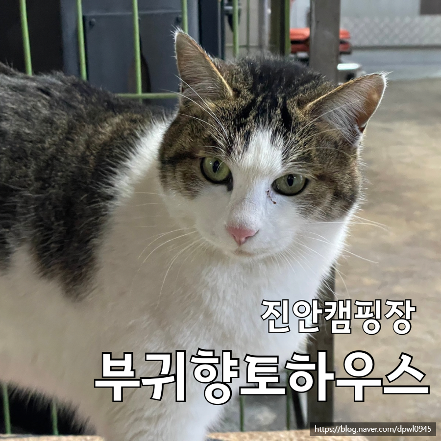부귀농협 하나로마트 정천점 사진 1