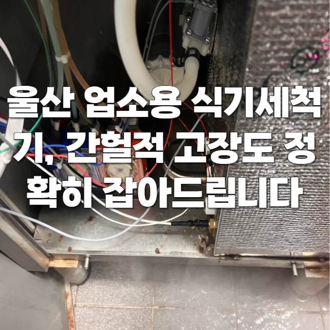 울산 삼산동 업소용 식기세척기 출장 수리 후기, 그랜드우성 간헐적 급수 문제 해결