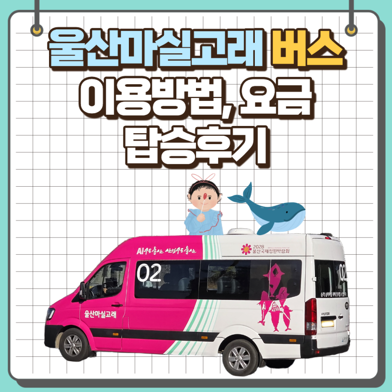 사진 5