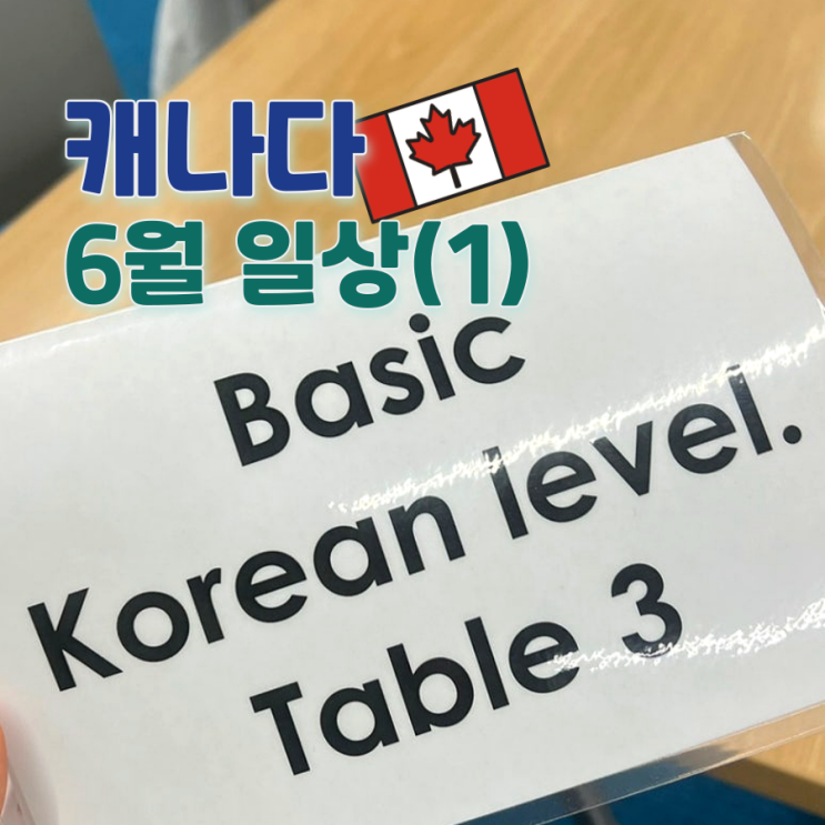   June(1) :: 캘거리 First Aid&CPR 수업, KCC 언어 교환, 구직과 인터뷰