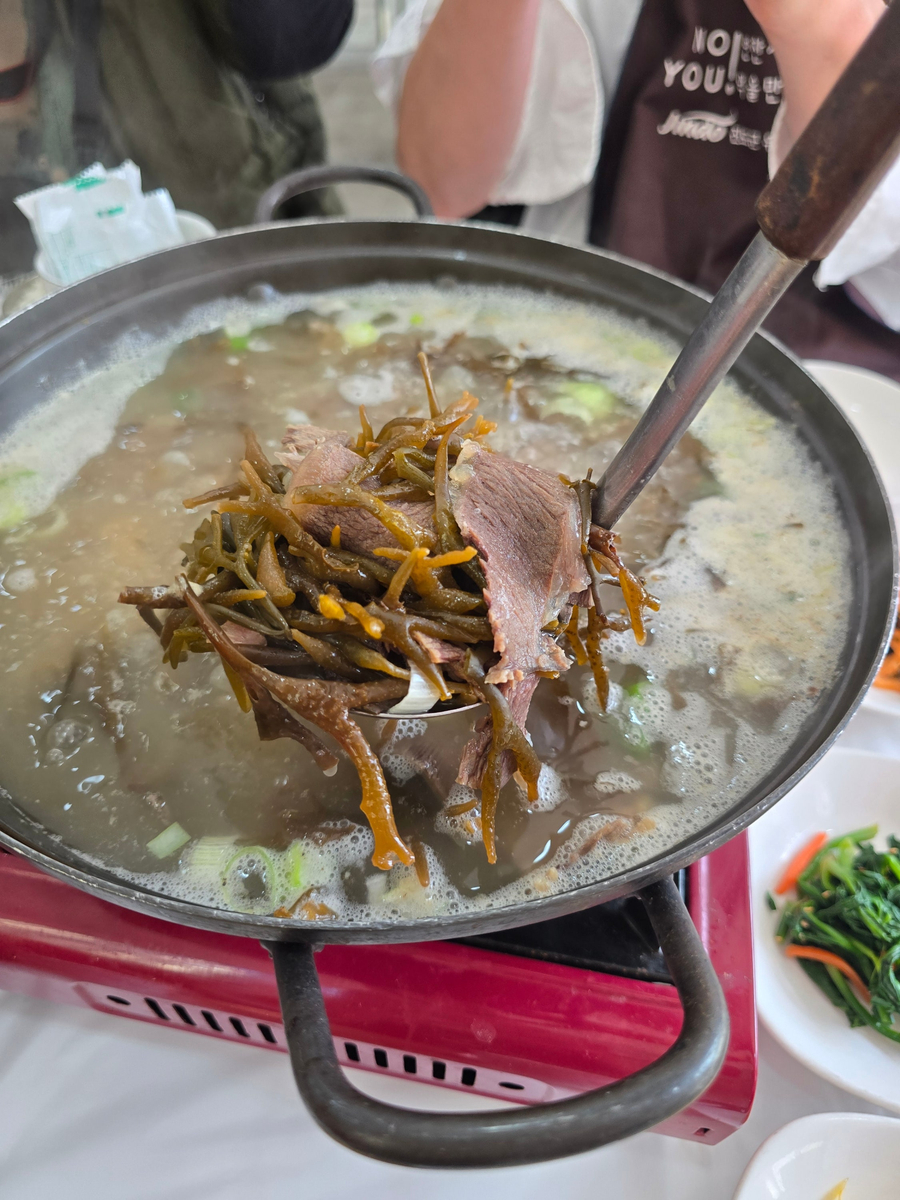 뱃고동 사진 4