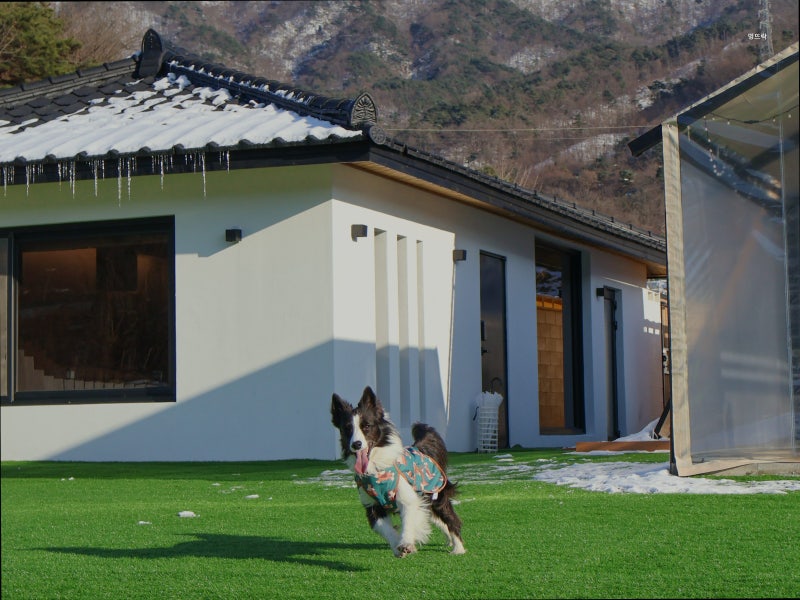 사진 3