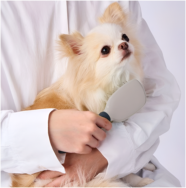  강아지 고양이 핀브러시