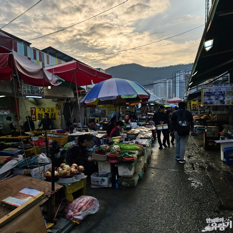  부산 자갈치시장에서 충무동 해안시장까지 시끌벅적 사람 사는 냄새나는 곳