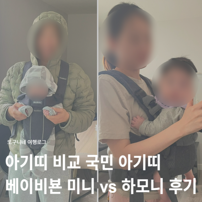  아기띠 비교 국민 아기띠 베이비뵨 미니 vs 하모니 내돈내산 후기