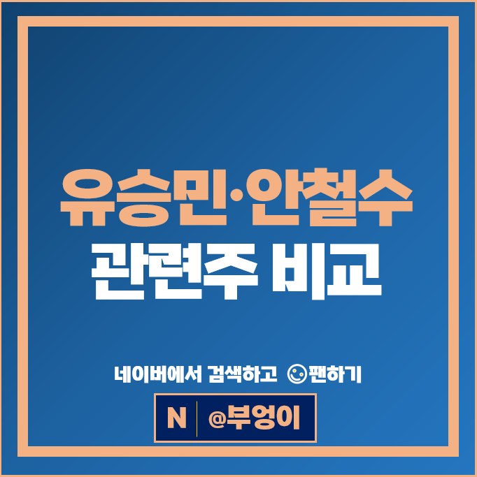 안철수 유승민 관련주 정치 테마주 DSR SDN 주가 매커스 주식