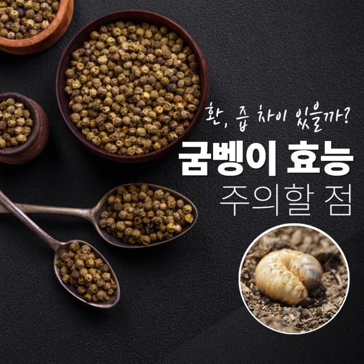  굼벵이효능 효과 환 즙 차이점