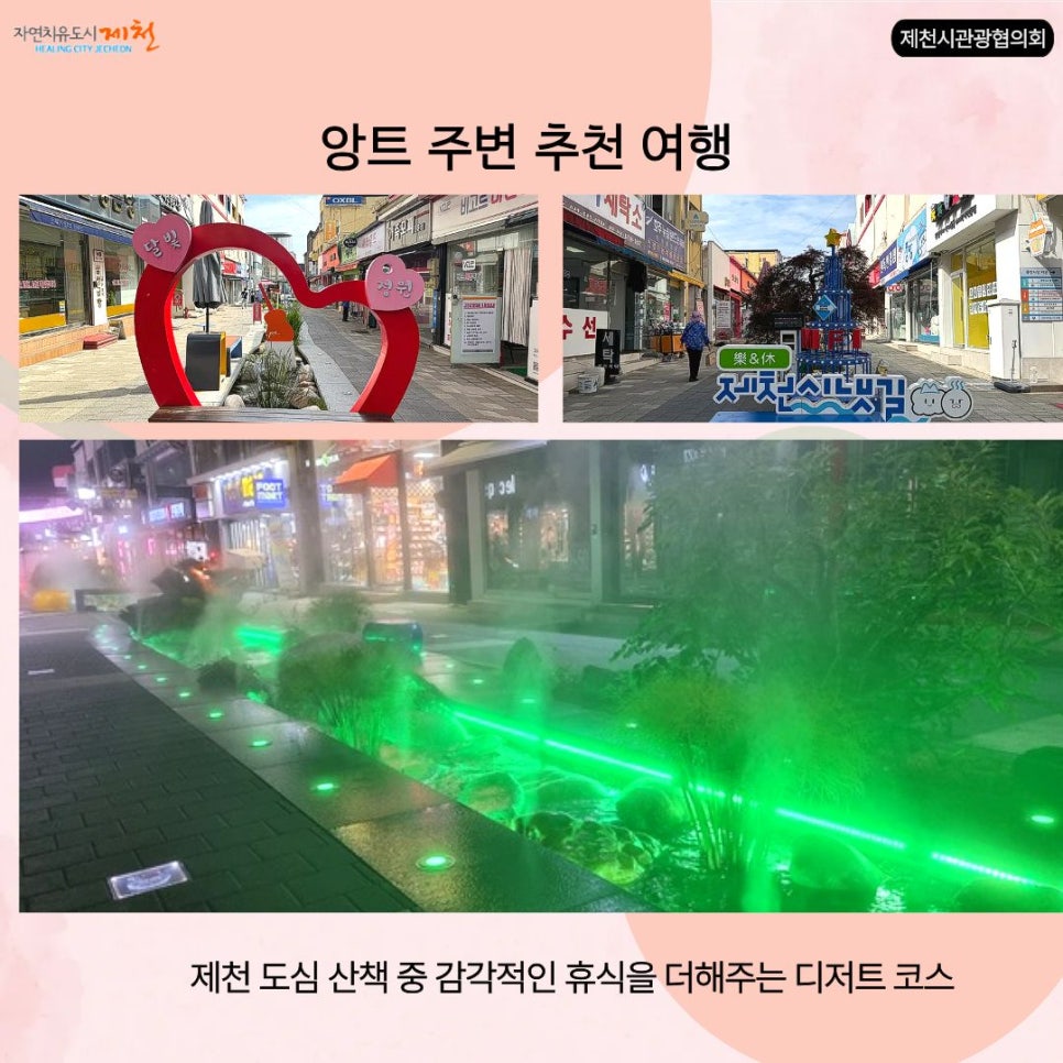 앙트 사진 5