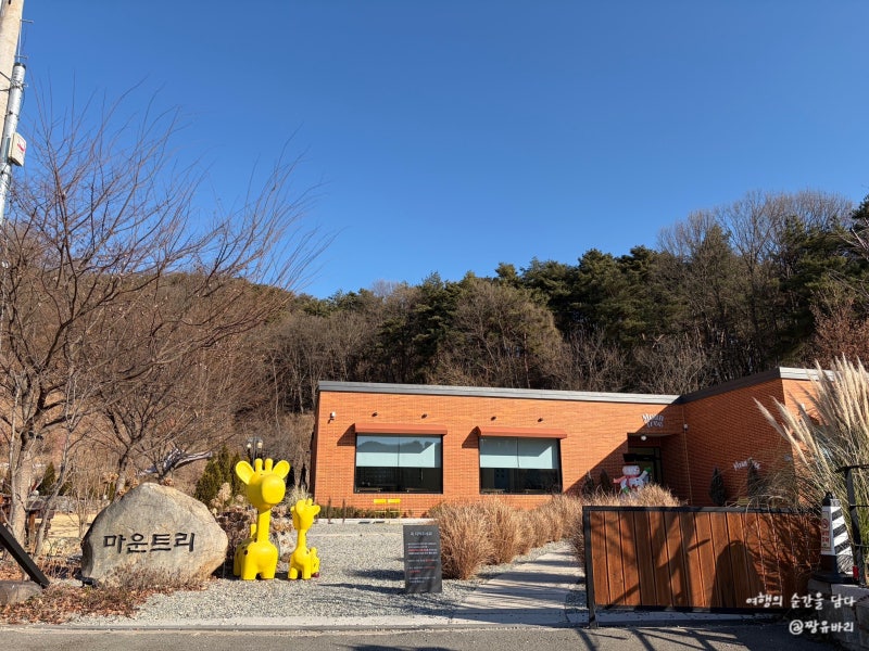 사진 7