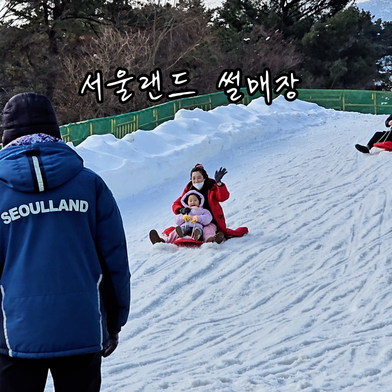 서울랜드 자유이용권 할인 5개월 시즌권 연간 이용권 경기도 과천 썰매장 빙어낚시 겨울 가....