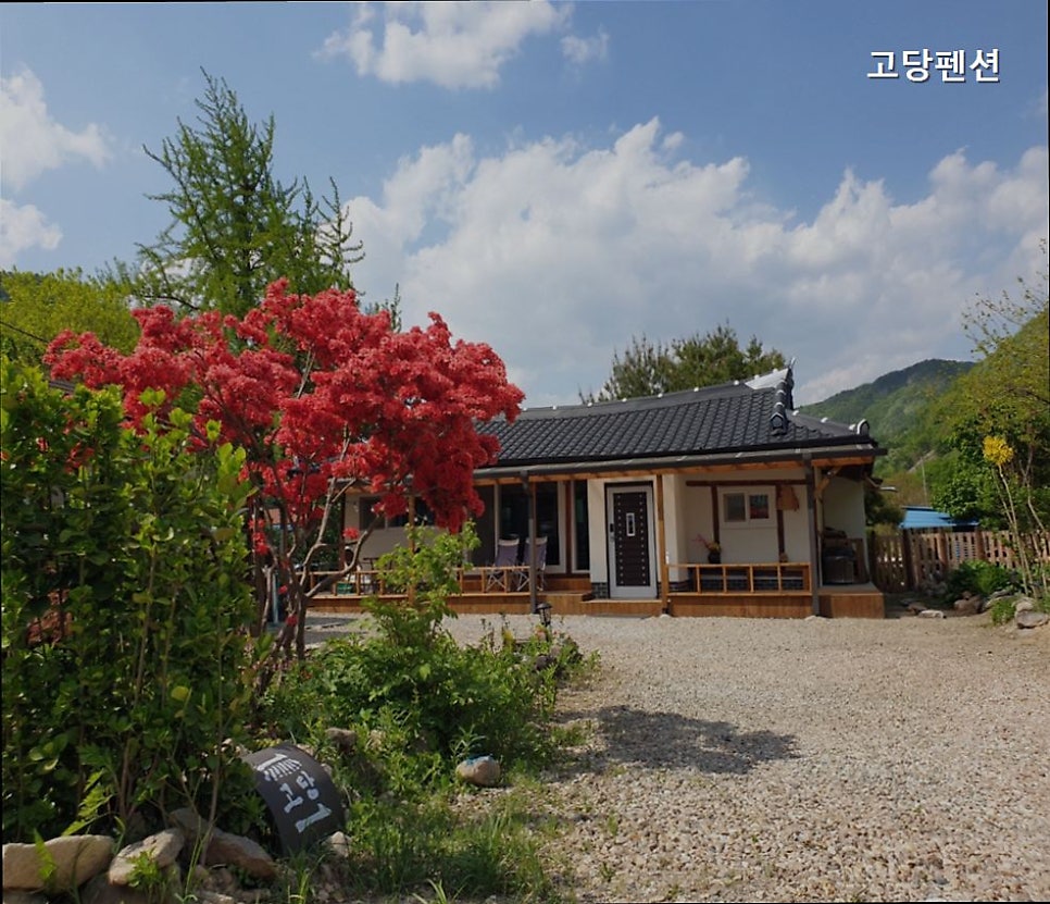 고당펜션 사진 2