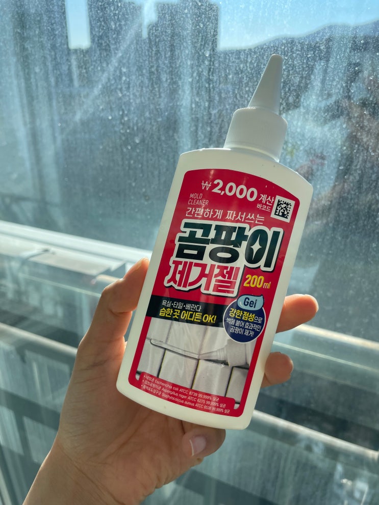  화장실 줄눈 곰팡이 제거젤 다이소 제품 청소 사용 후기 관리법