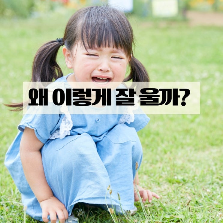  잘 우는 아이, 성격일까 감정신호일까
