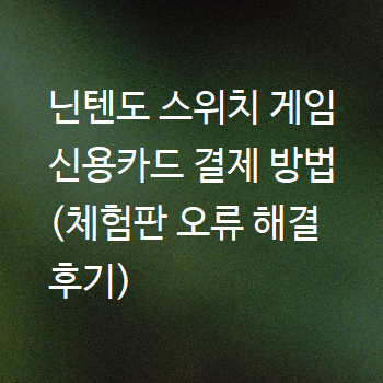  닌텐도 스위치 게임 신용카드 결제 방법 (체험판 오류 해결 후기)