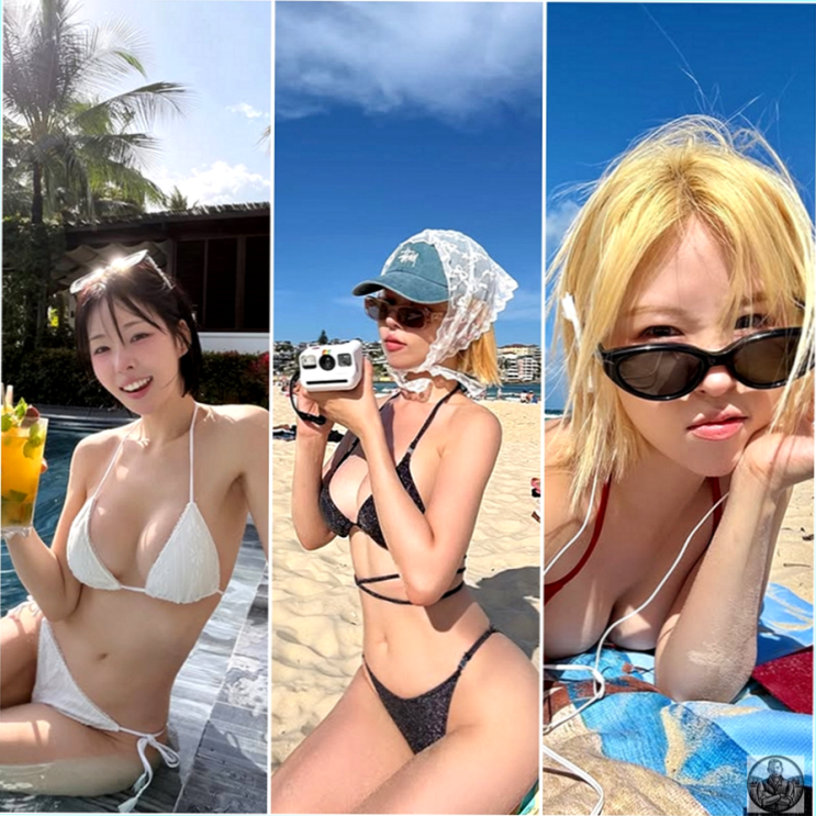  아나운서 김해나 비키니 패션 니트 소재와 강렬한 색감의 전략적 선택