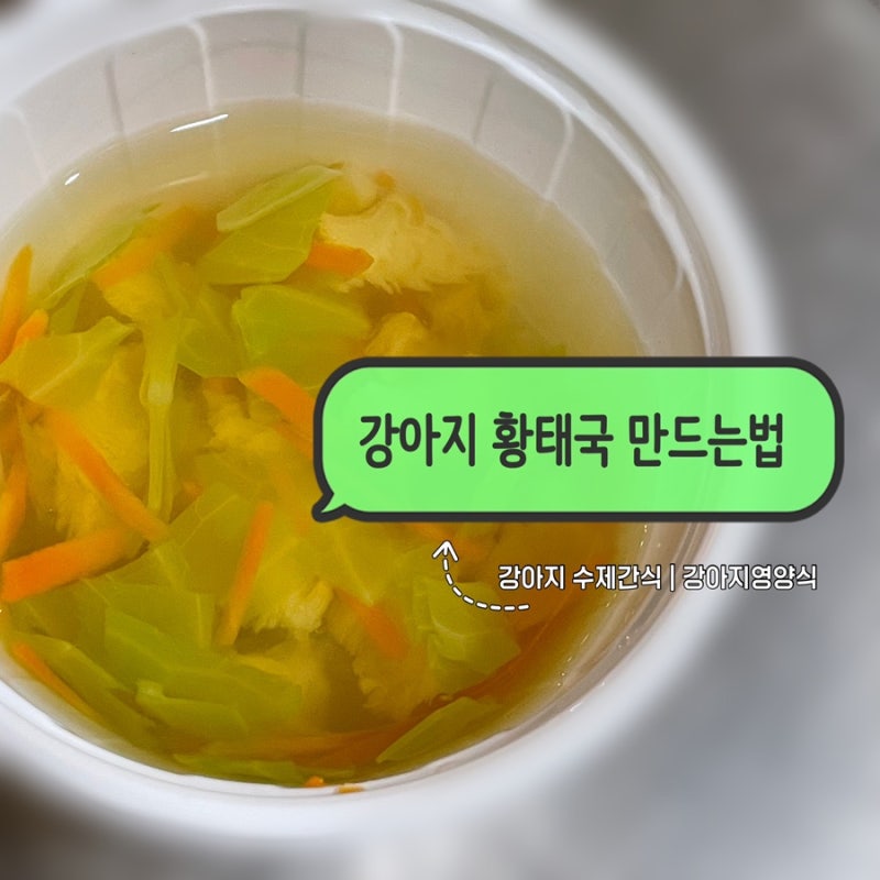 강아지 황태국 만드는법 | 강아지수제간식 | 강아지간식 | 강아지영양식 | 강아지특식