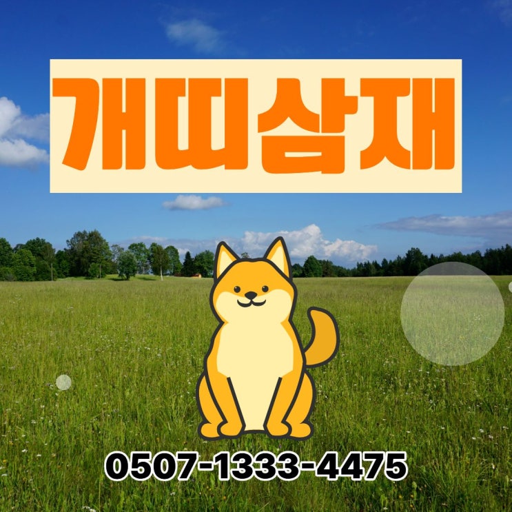  58·70·82·94·06·18년생 개띠 삼재 언제 2028~2030년 삼재 시작과 피해야 할 선택