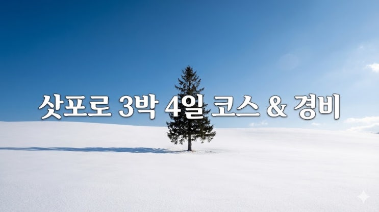  3박 4일 삿포로 여행 코스 및 경비, 날씨부터 비에이 투어 예약 꿀팁 총정리