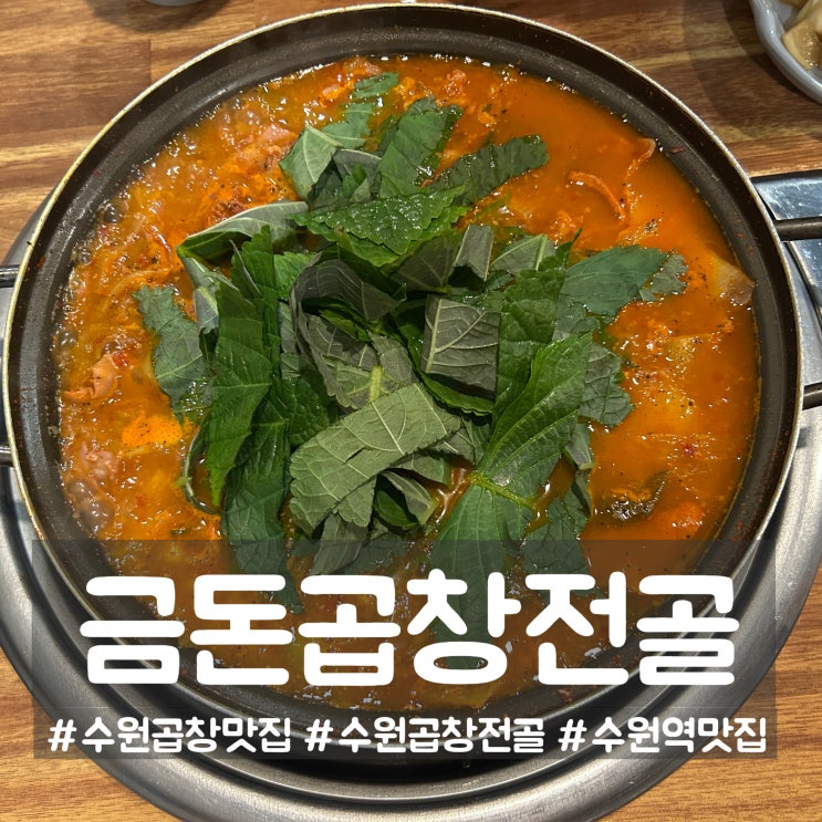  수원역곱창맛집 금돈곱창전골｜곱창 듬뿍 전골 +볶음밥까지 싹싹 먹은 후기