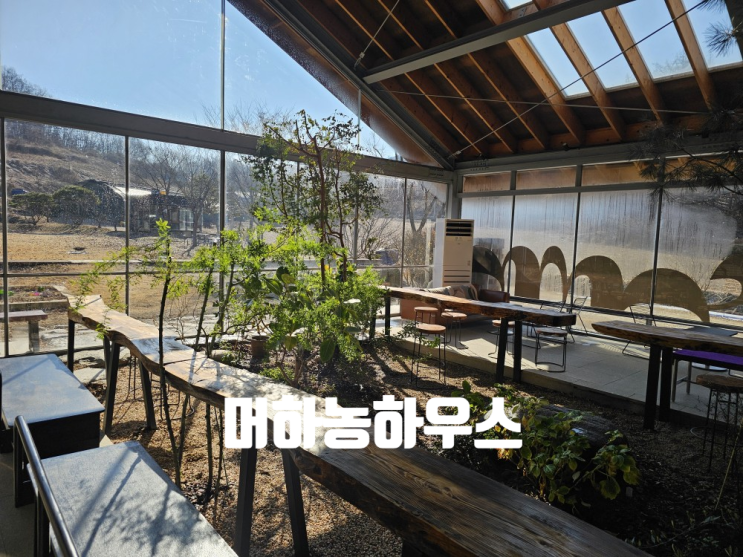  [괴산 맛집] 청풍해물칼국수, 머하농하우스