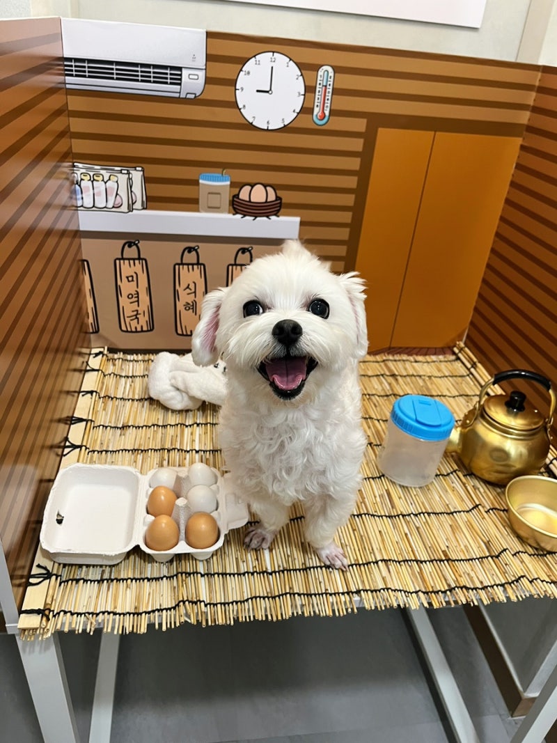 사진 2