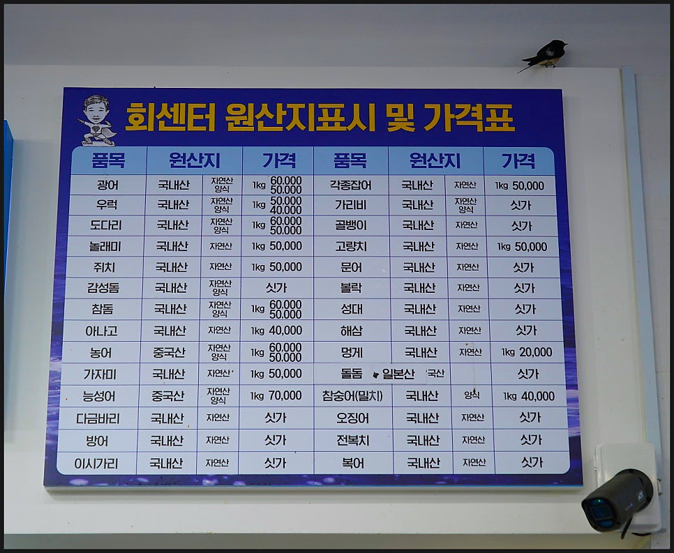 해일 사진 6