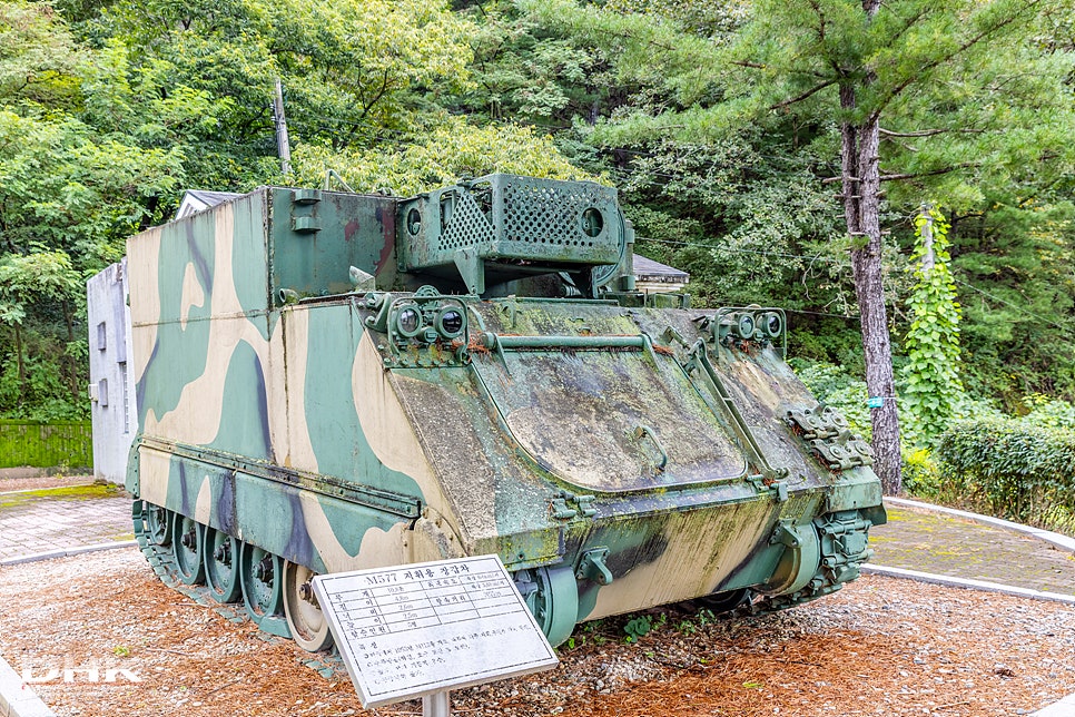 콩사랑 사진 5